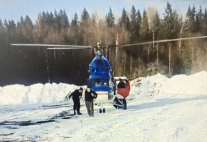 В МВД рассказали подробности истории охоты с вертолёта на медведя
