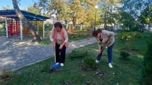 Общегородскую экологическую акцию проведут в Бресте 19 октября