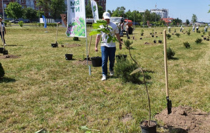 В Бресте прошла акция «Сад памяти»