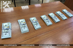 Чтобы вывезти из Беларуси 54 тыс. долларов, водитель авто «Opel Vivaro», раздал их пассажирам