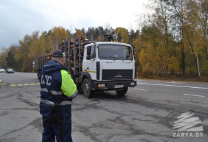 «Охота» в лесах под Малоритой