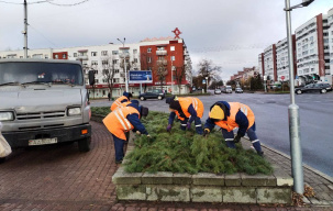 В Бресте приступили к укрытию на зиму неморозостойких растений