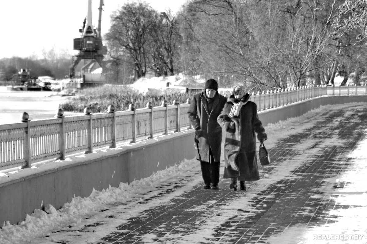 Большая драма одной маленькой брестской утки