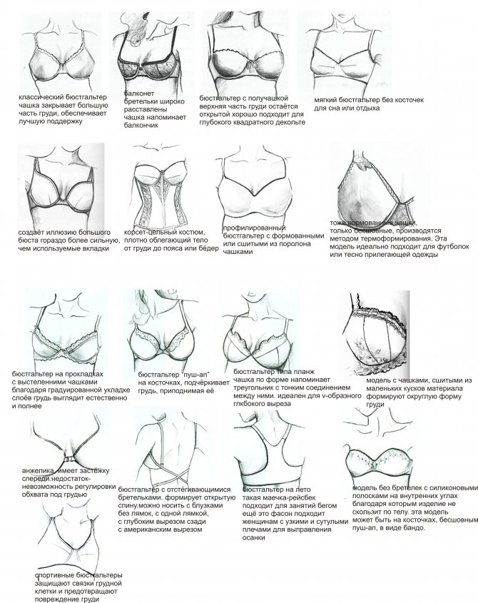 Особенности пошива бюстгальтера